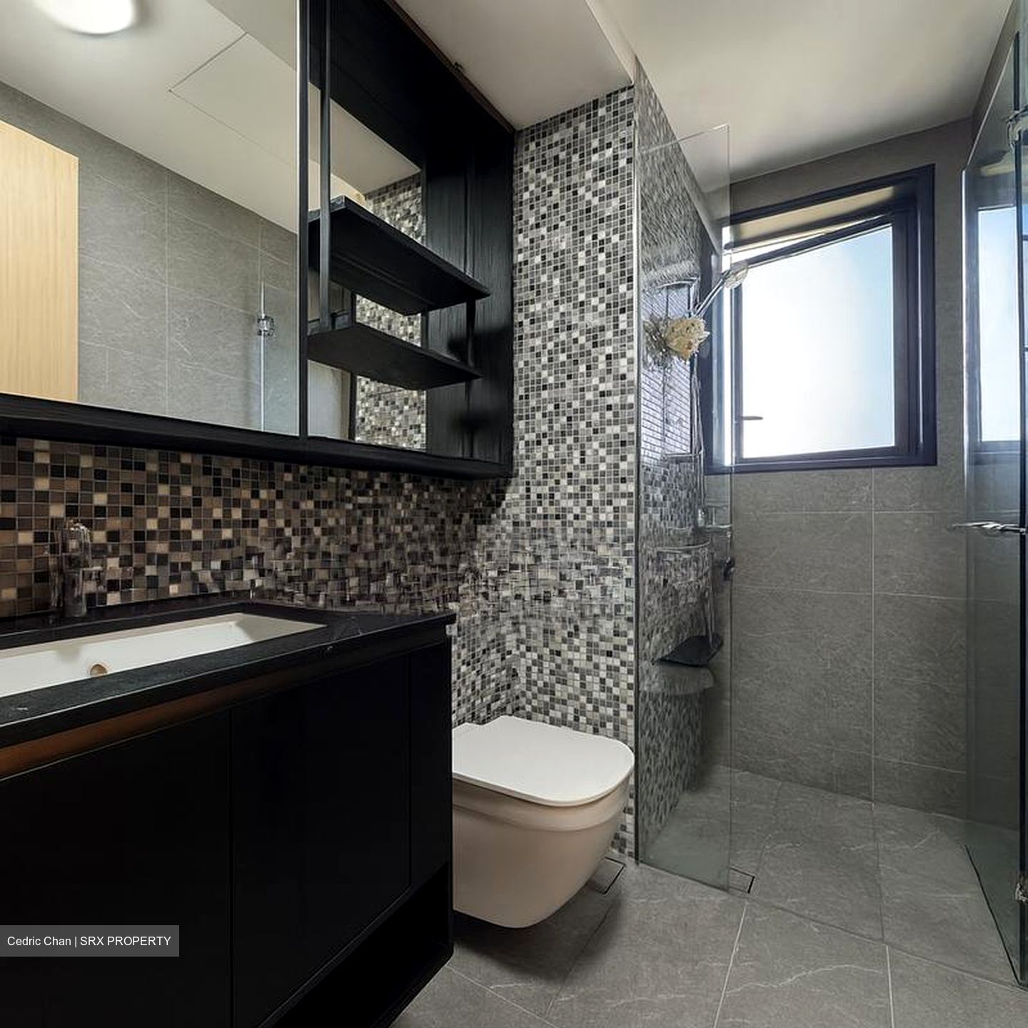 The Antares (D14), Apartment #496644021